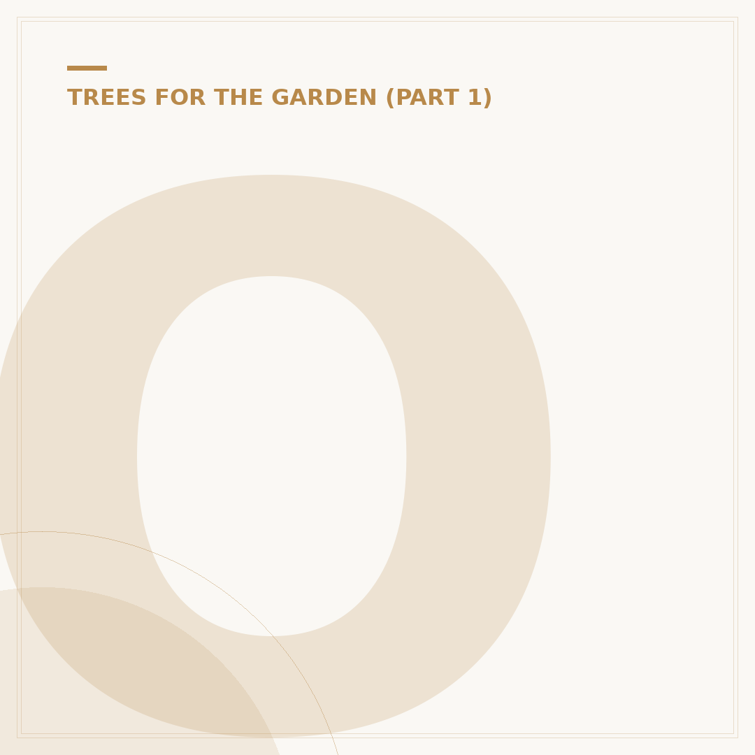 Oak Tree Seeds: From Acorn to Sapling