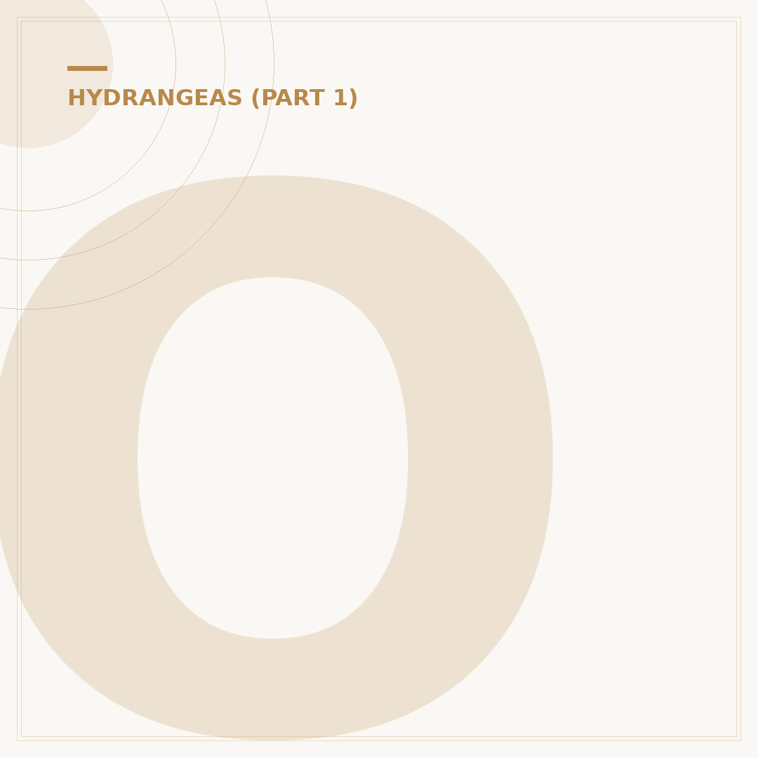 Oakleaf Hydrangea Leaf: Appearance and Care