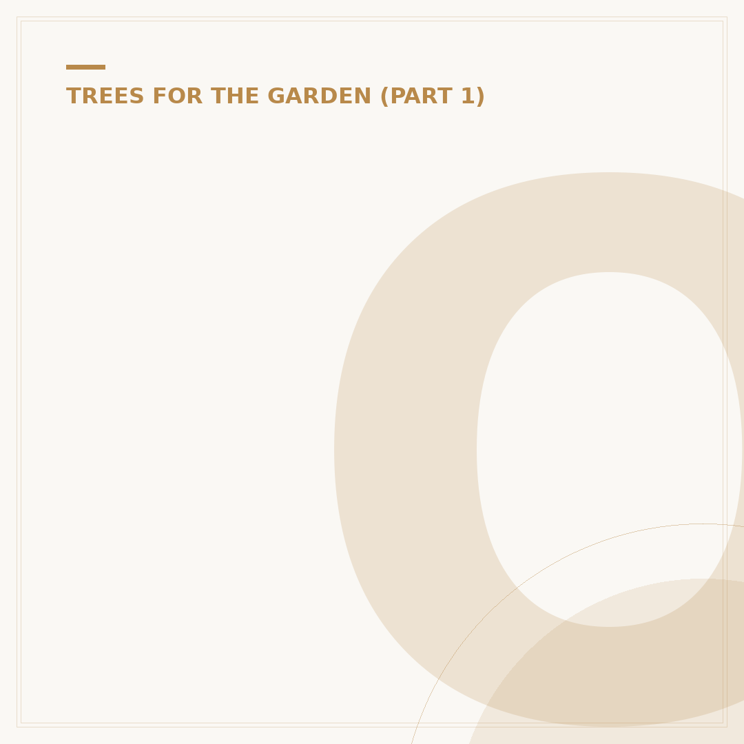 Ole Oak Tree: What It Is and What to Consider