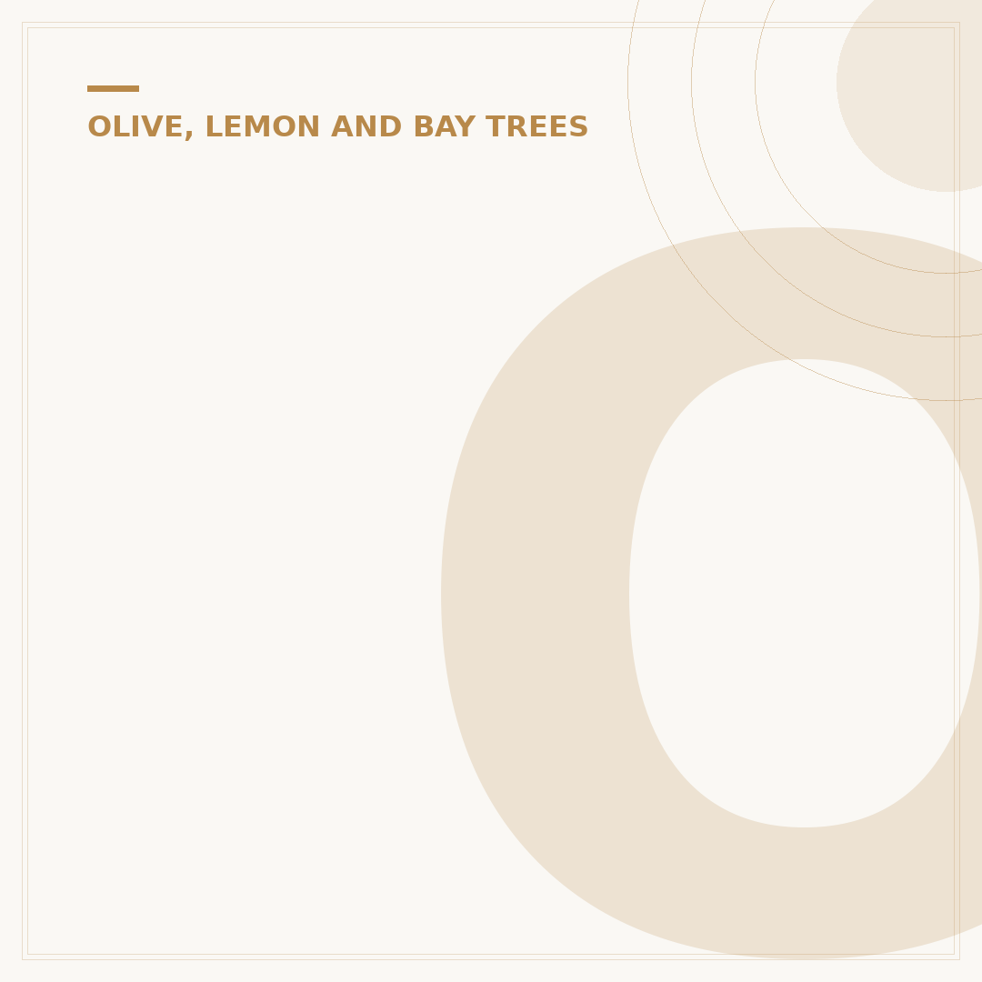 Olive Tree Disease: Identification and Management