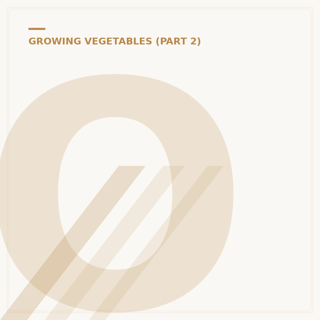 Onion Growing Stages Explained