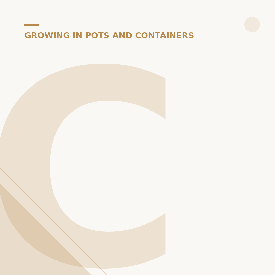 Choosing Outdoor Plant Pots: Materials, Sizes & Styles
