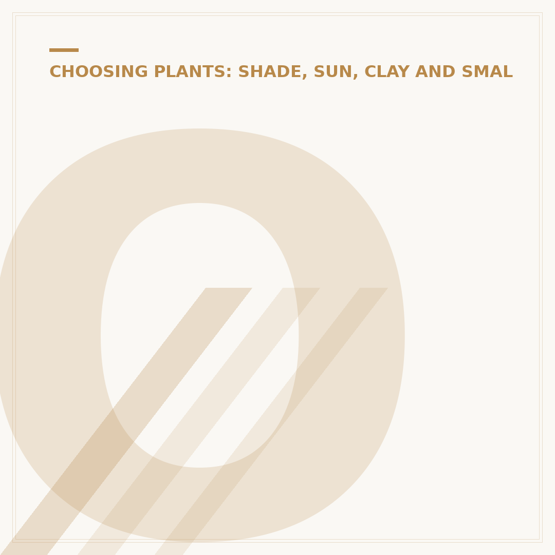 Outdoor Plants That Like Shade