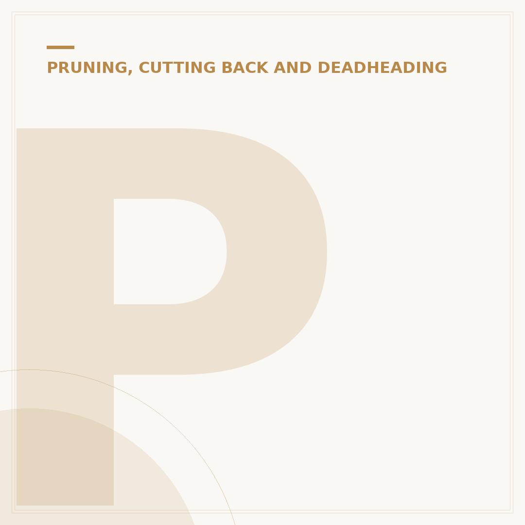 Pachira Aquatica Pruning: Shaping Your Money Tree