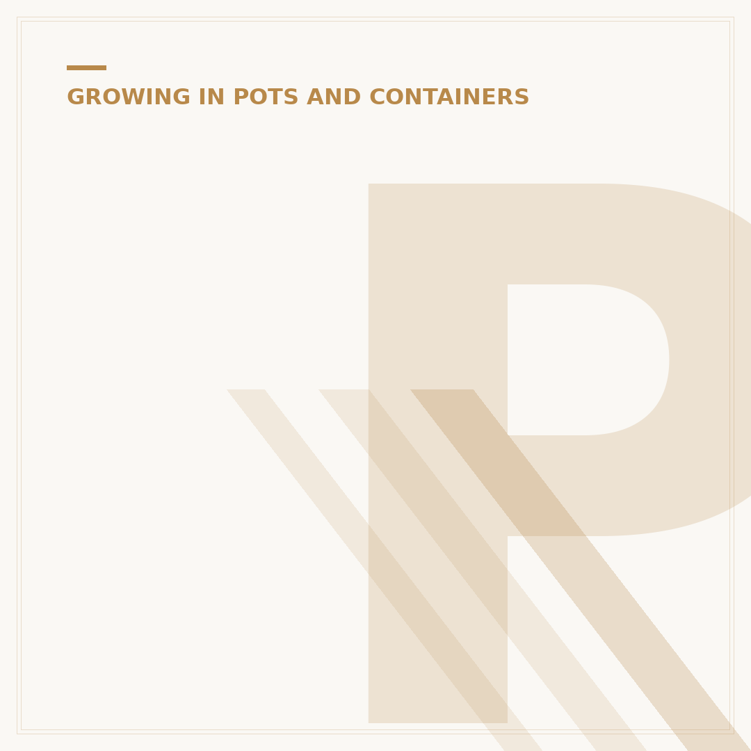 Painted Plant Pots: Styles, Materials & Choices