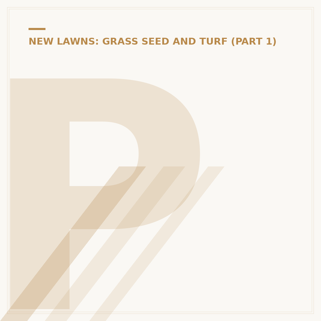 Patching Lawn Seed: How to Repair Bare Patches
