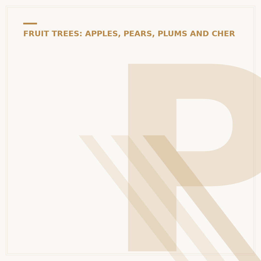 Pear Tree, CT