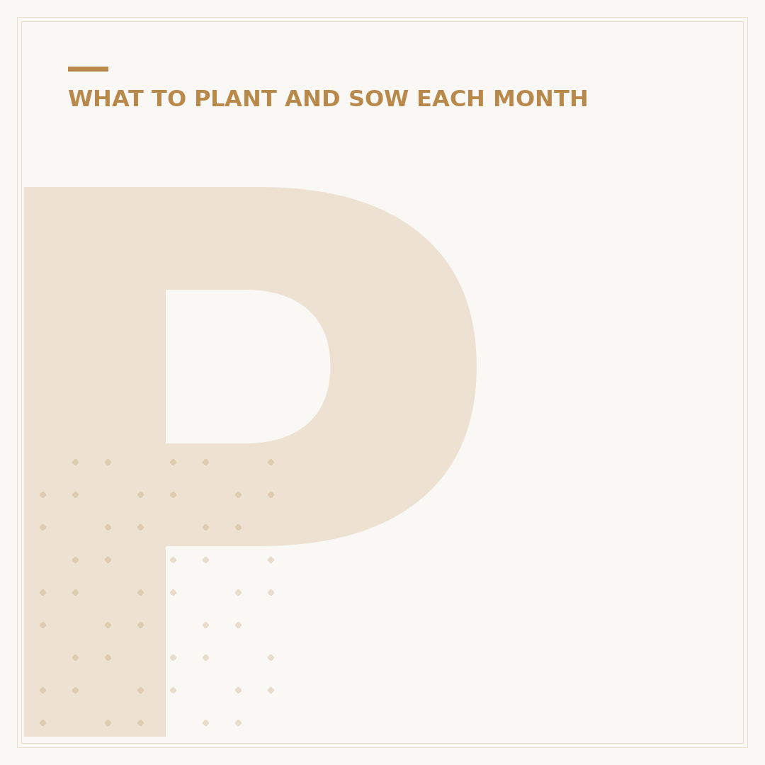 Perennial Plants to Plant Now for Lasting Colour