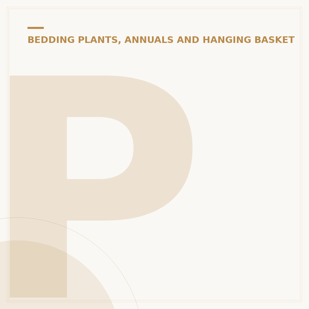 Petunia Evans: What It Is and Alternatives