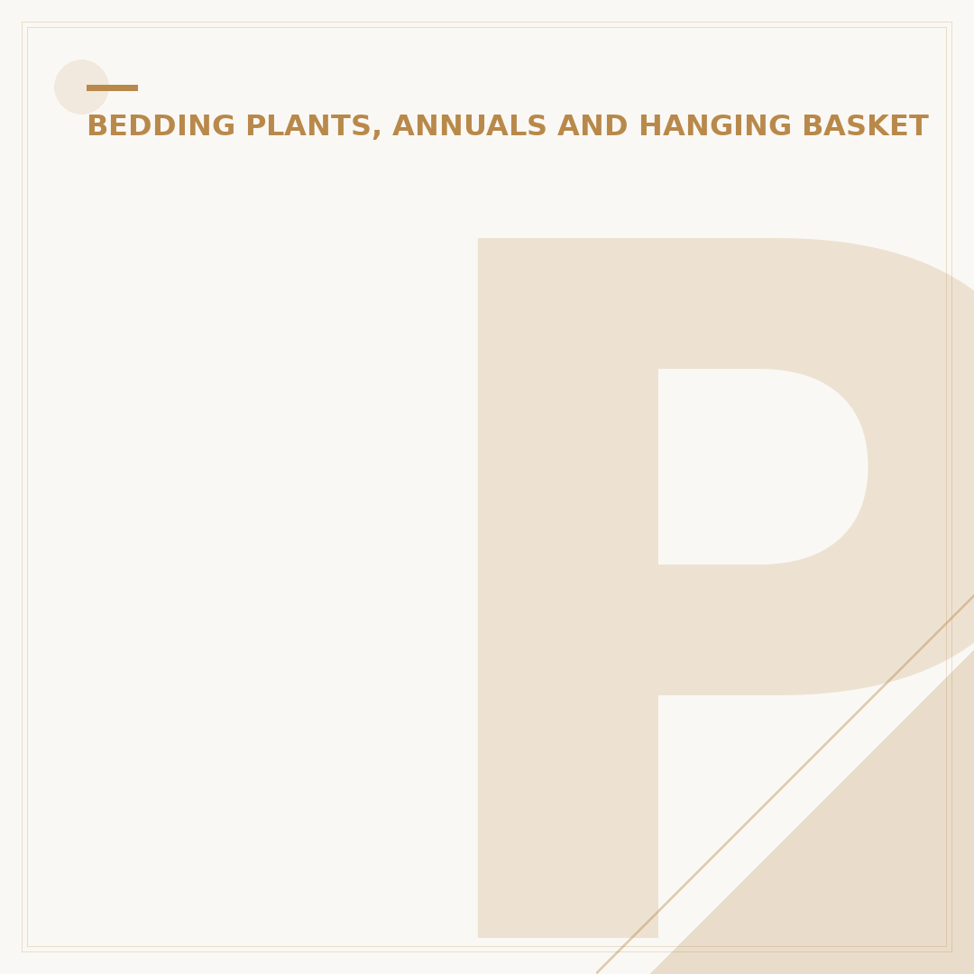 Petunia Seed Planting: Sowing for Stunning Blooms
