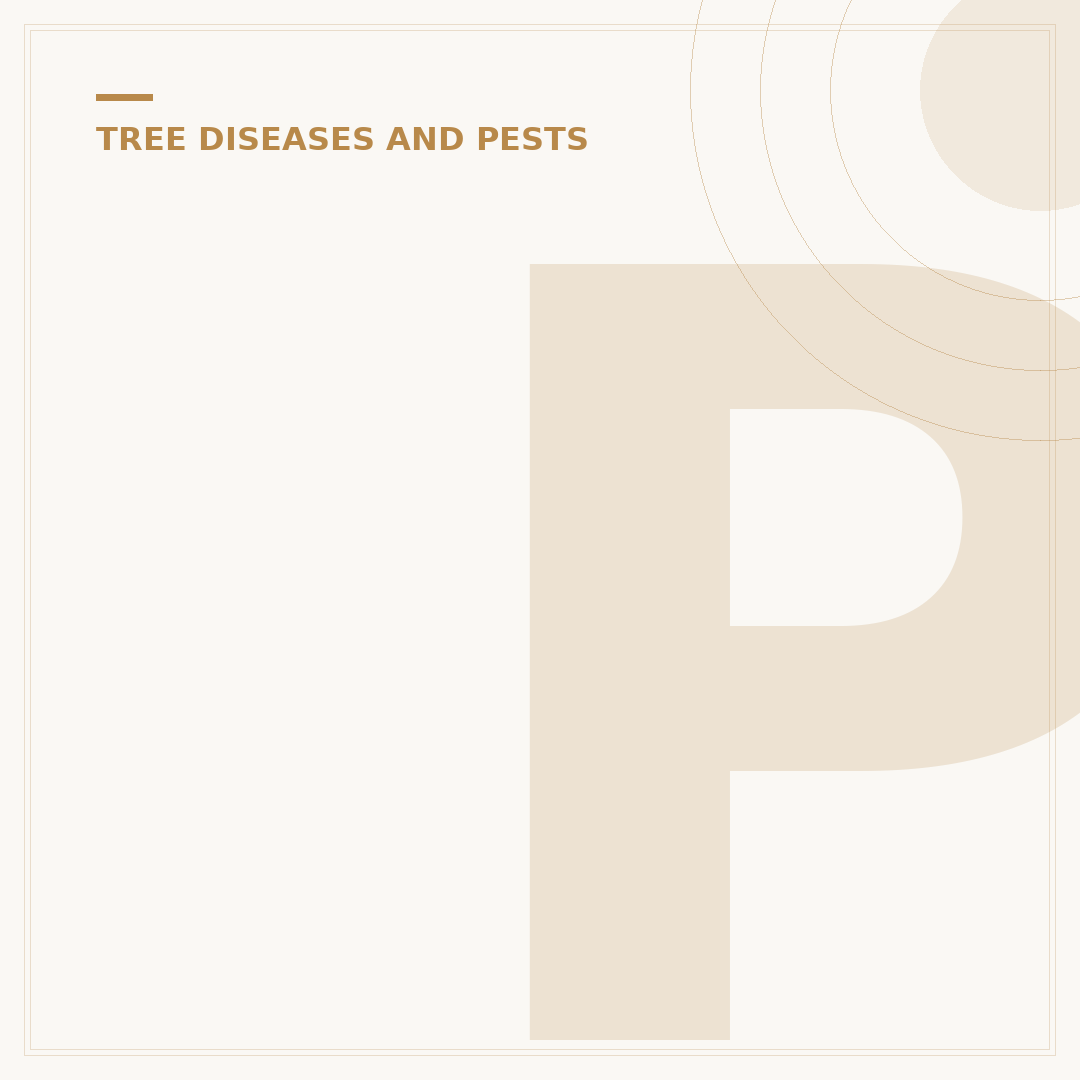 Phytophthora Root Rot: Understanding and Managing