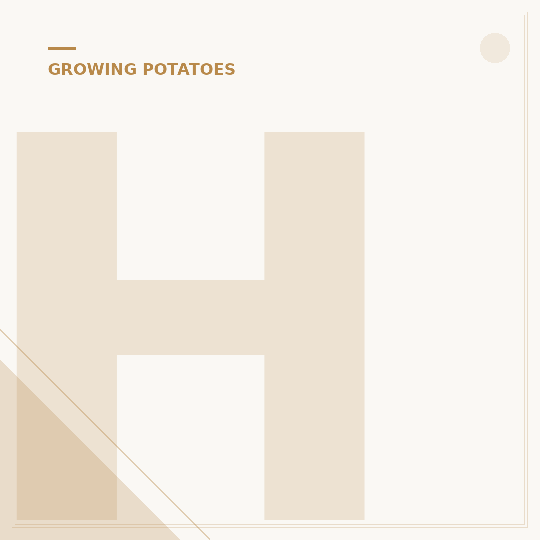 How to Plant Chitted Potatoes: Avoid Common Errors