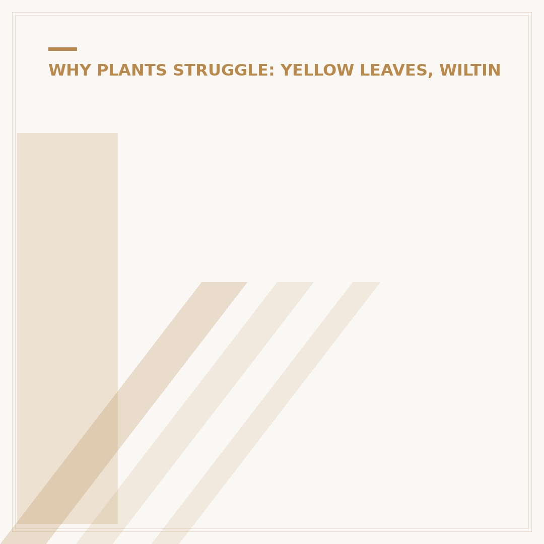 Indoor Plant Leaves Turning Brown & Crispy: Causes and Care