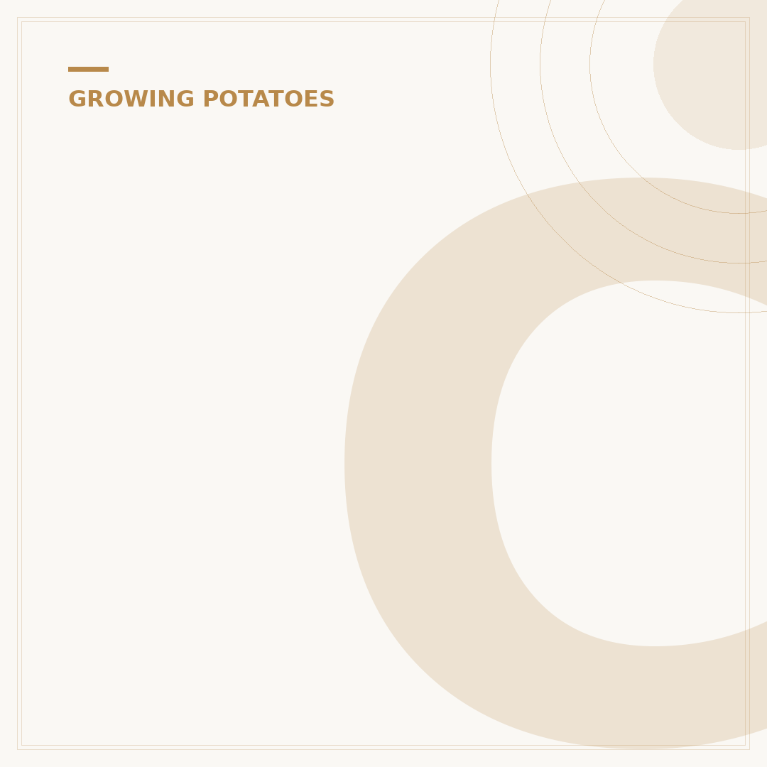 Can You Plant Potatoes in June?