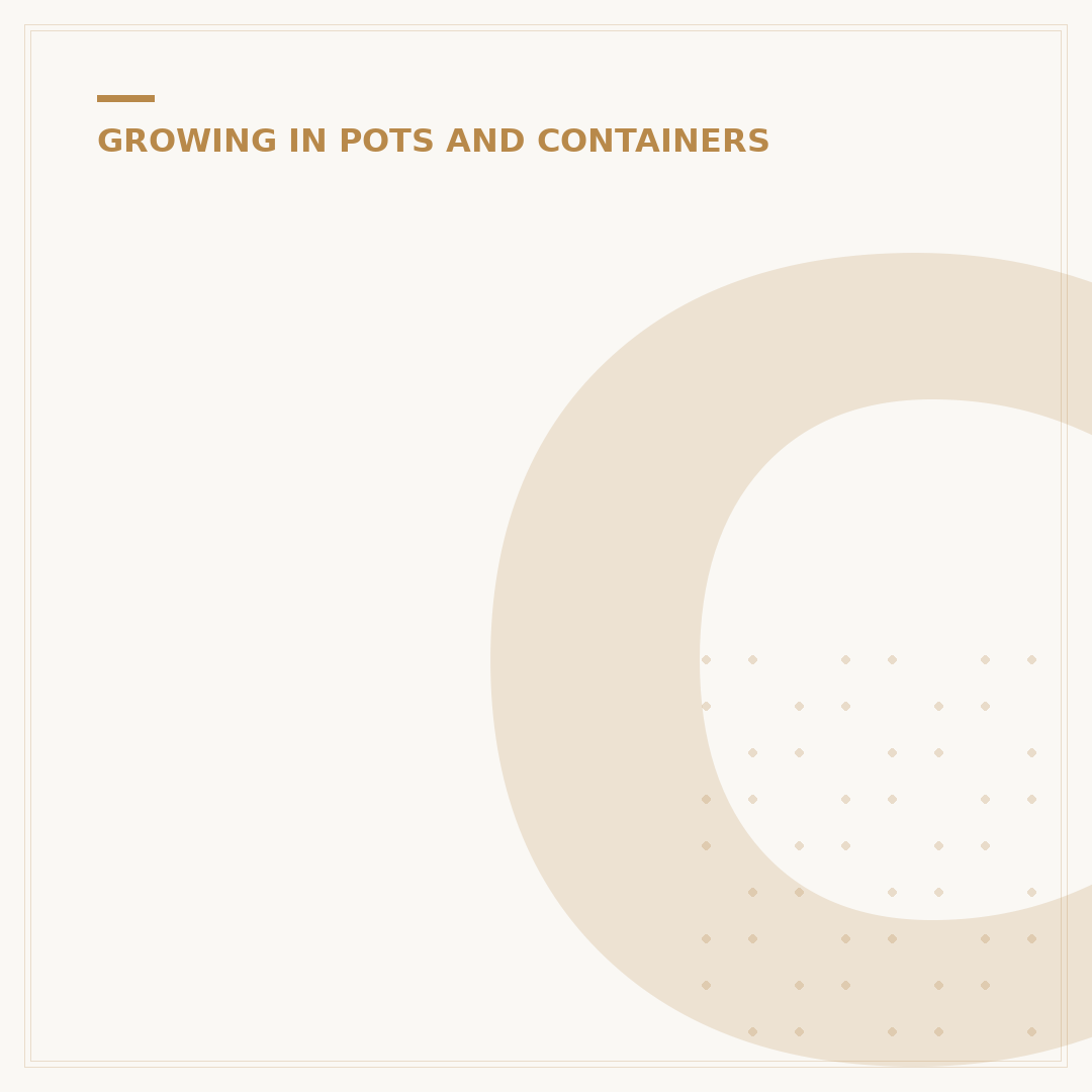 Choosing the Right Plant Pots for Your Garden