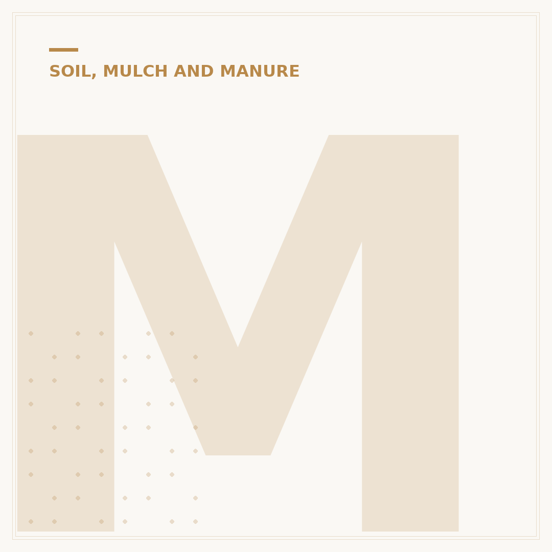 Molding on Plant Soil