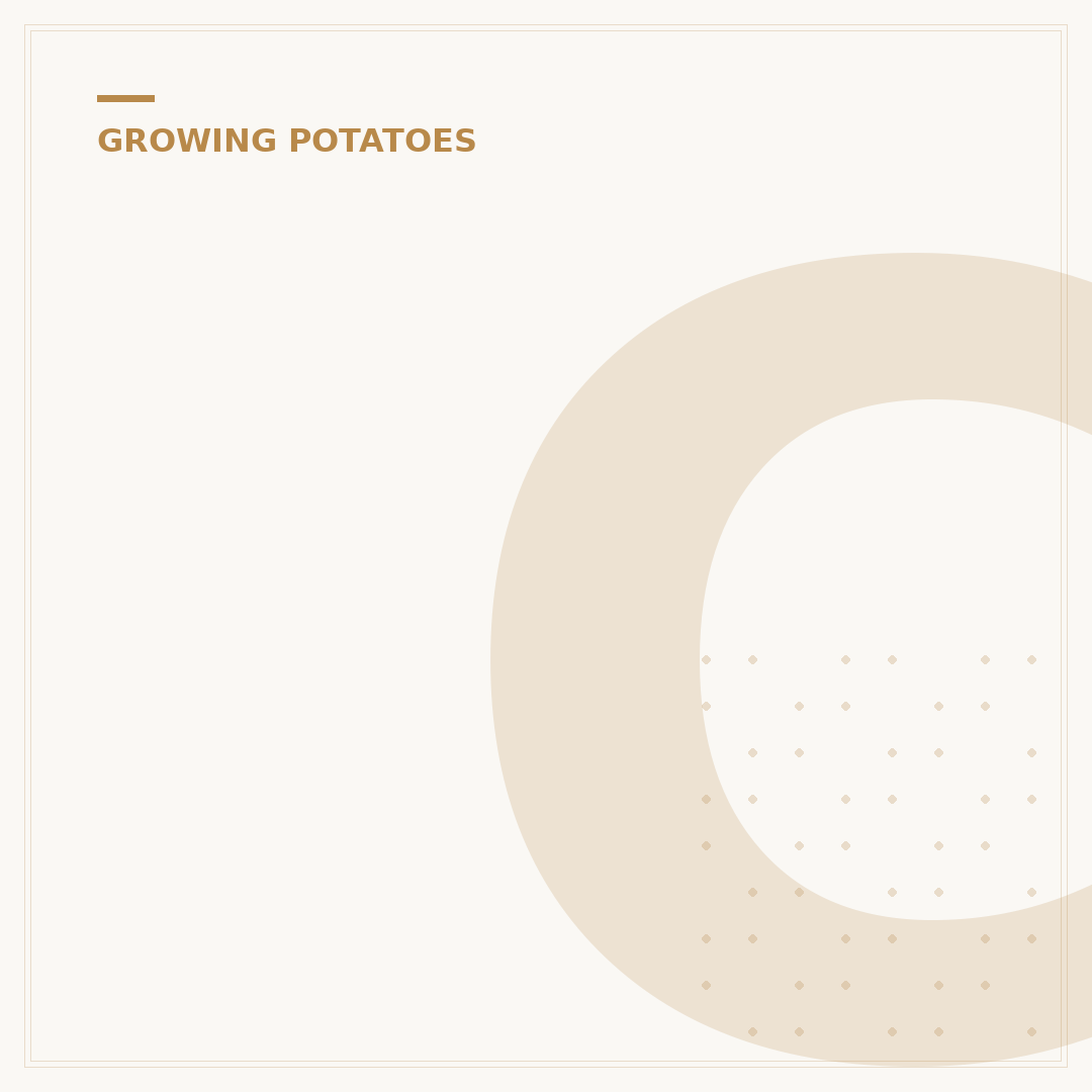 Can You Plant a Sprouted Potato? Growing New Plants