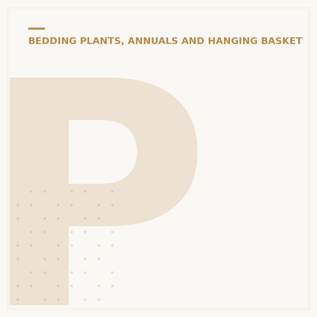 Planting Begonia Corms