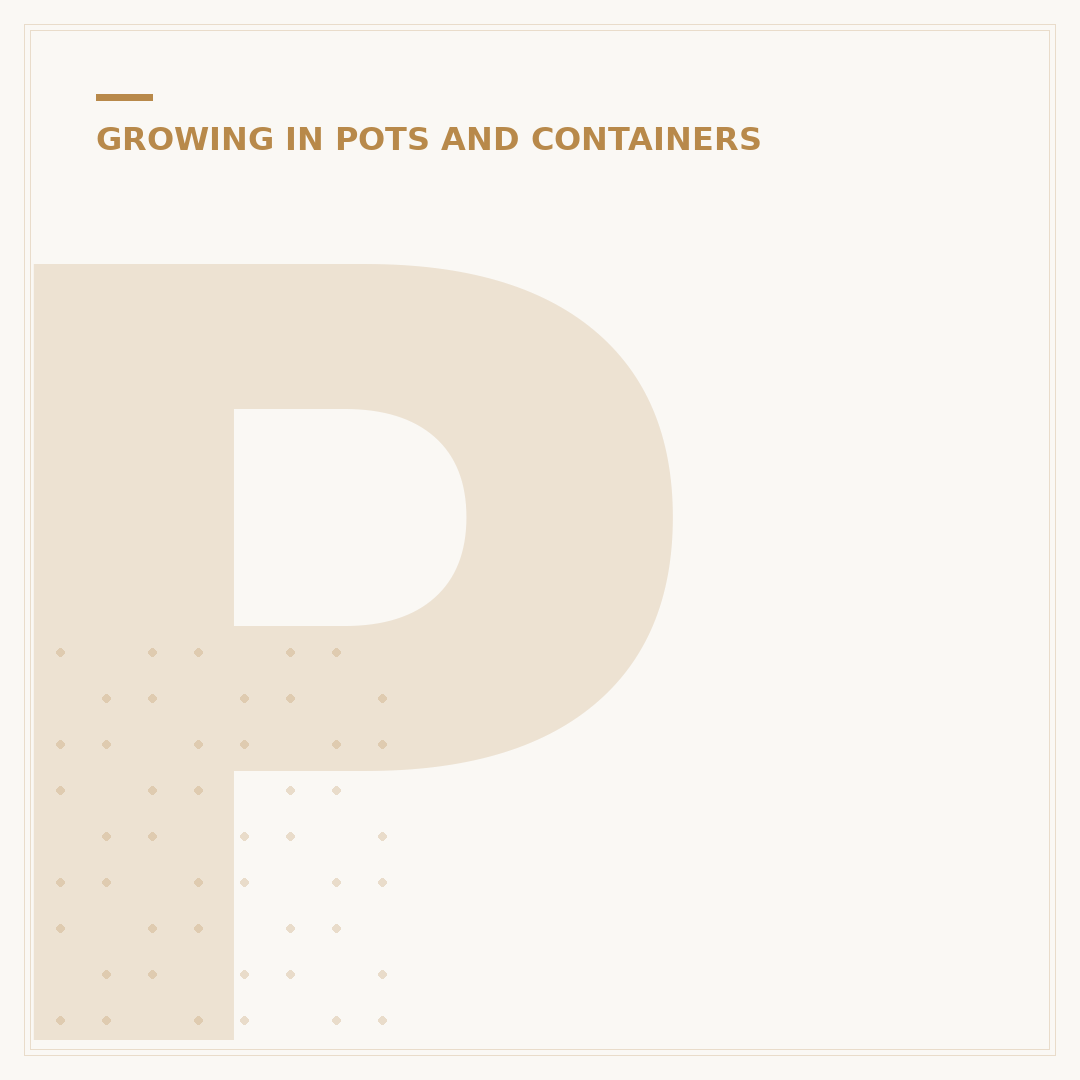 Planting Bulbs in Pots