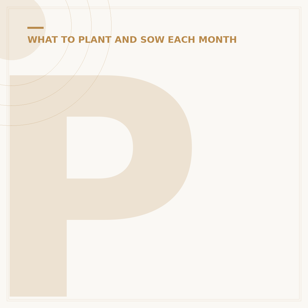 Planting Spring Bulbs in Pots