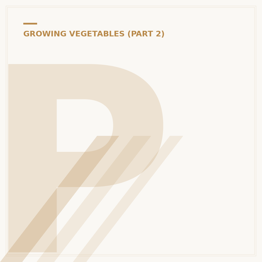 Planting Spring Onion Seeds