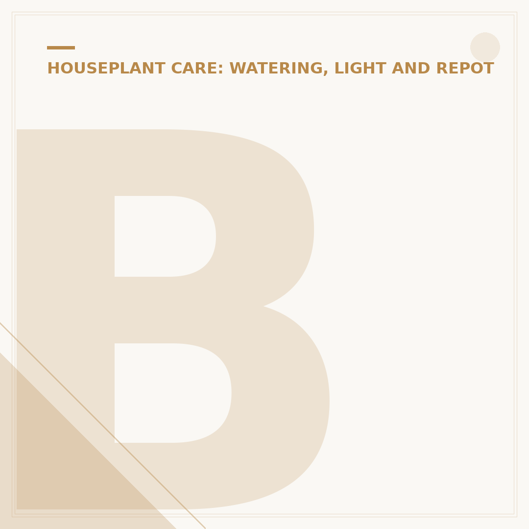 Best Plants for Bathrooms with No Light
