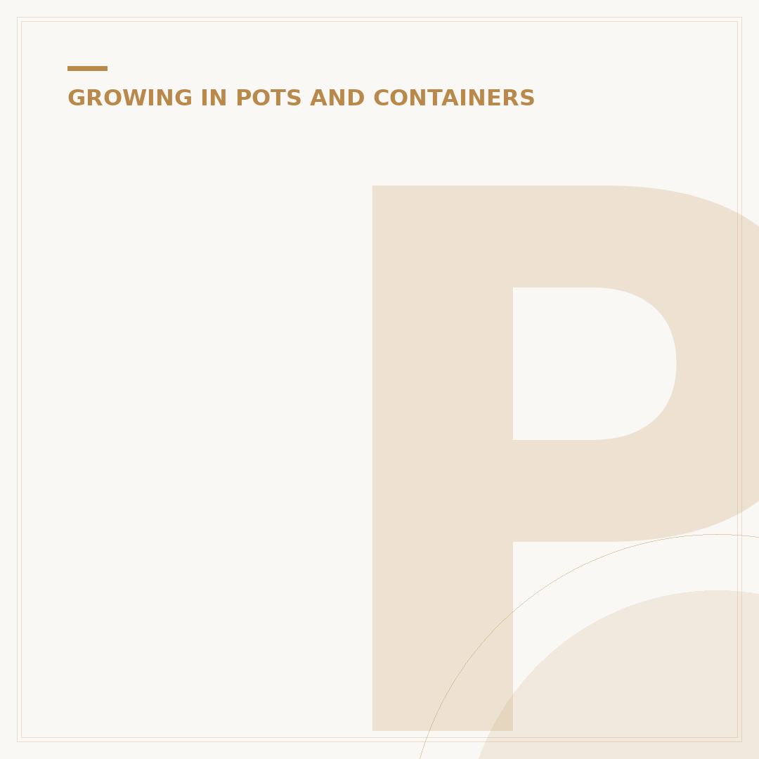 Plants for Big Pots Outside: Stunning Container Choices