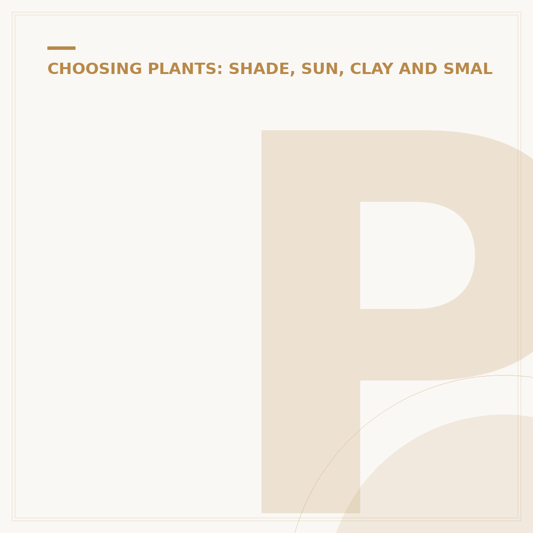 Plants for East Facing Gardens: Low Light Favourites