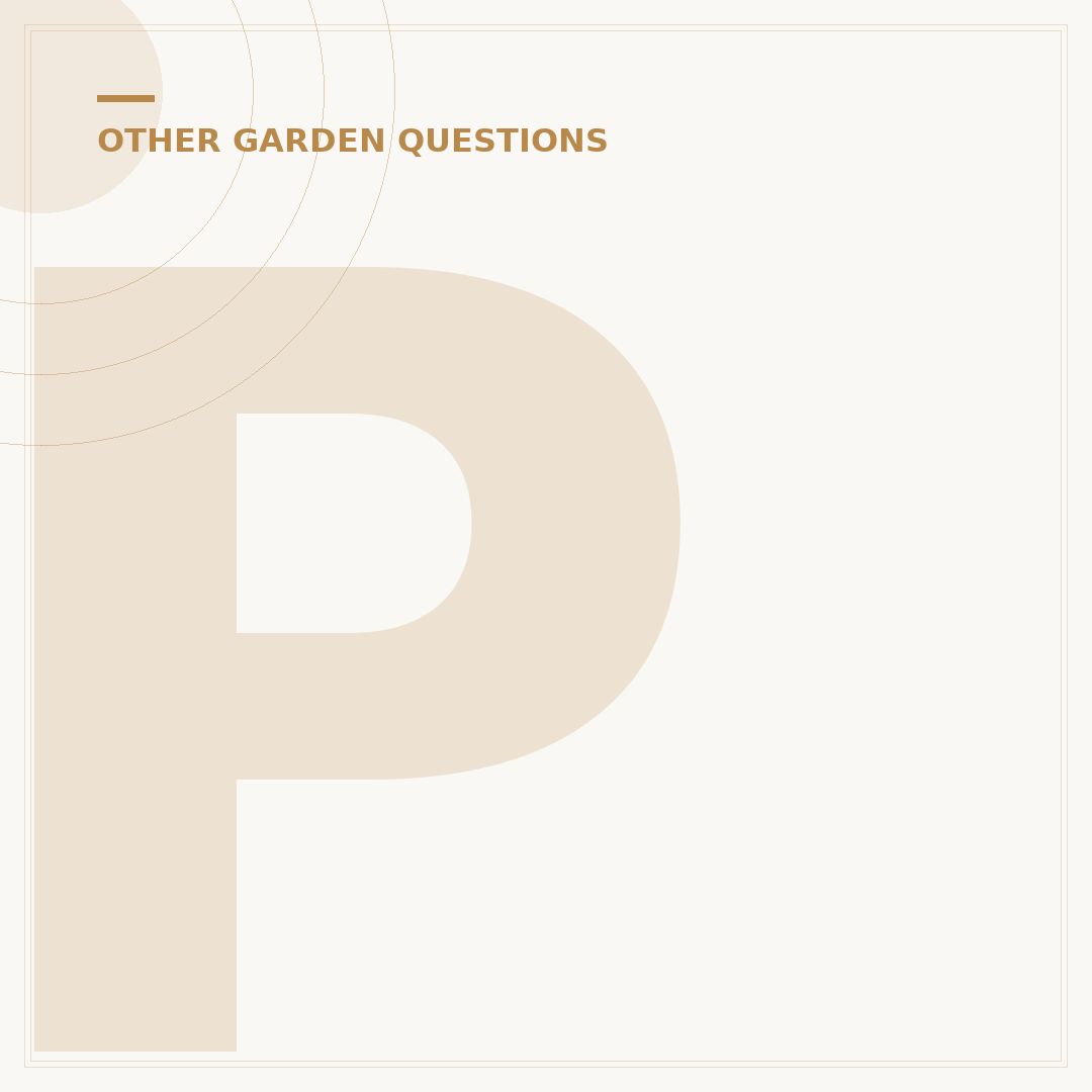 Plants for Potting Outdoors: Colourful & Resilient Choices