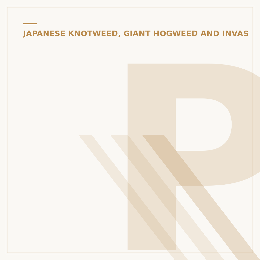 Plants Similar to Japanese Knotweed