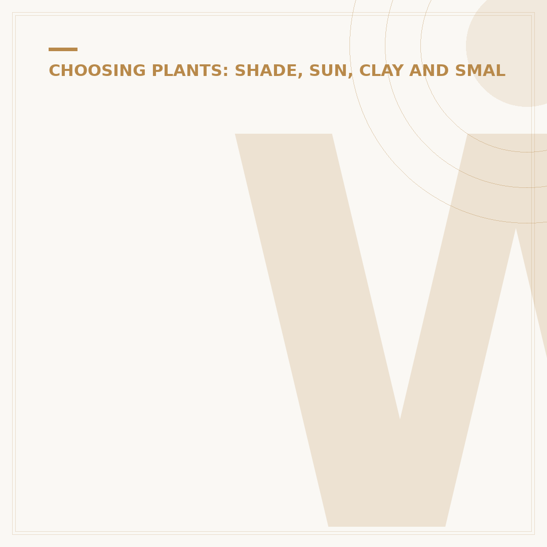 West Facing Garden Plants: Fulfilling Your Sunny Aspect