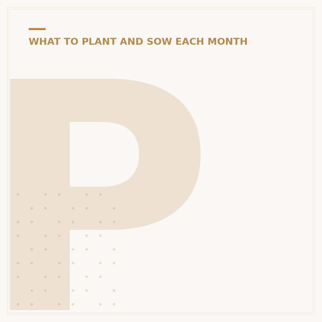 Plants for Winter Colour: Brighten Your Garden All Year