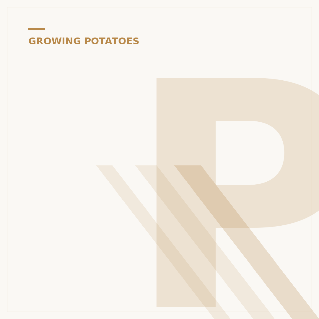Potato Blight: Causes, Symptoms & Prevention