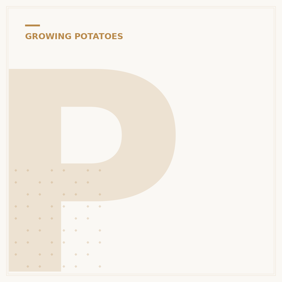 Potato Fertiliser: What to Use and When