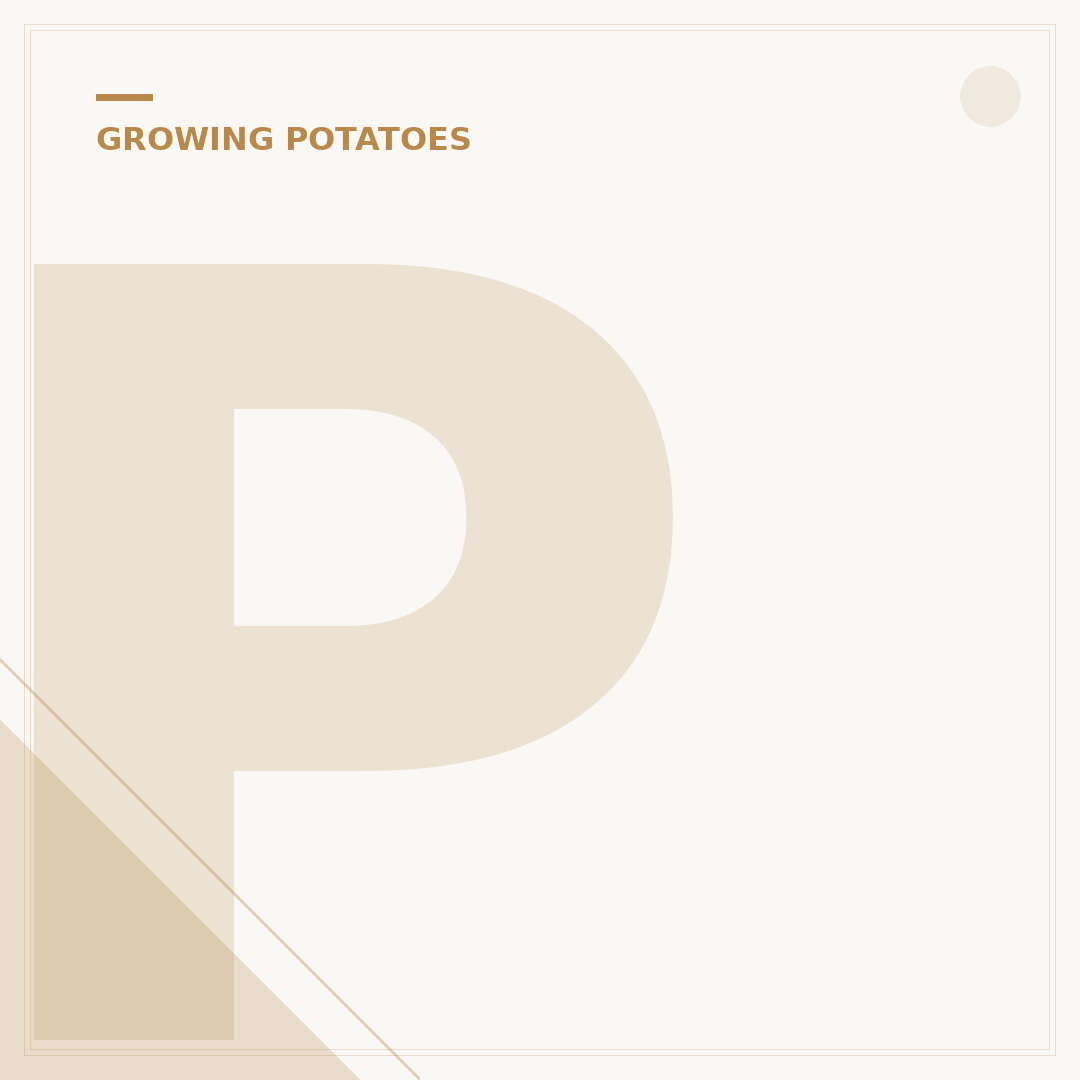 Potato Leaves Turning Yellow: Causes and Solutions