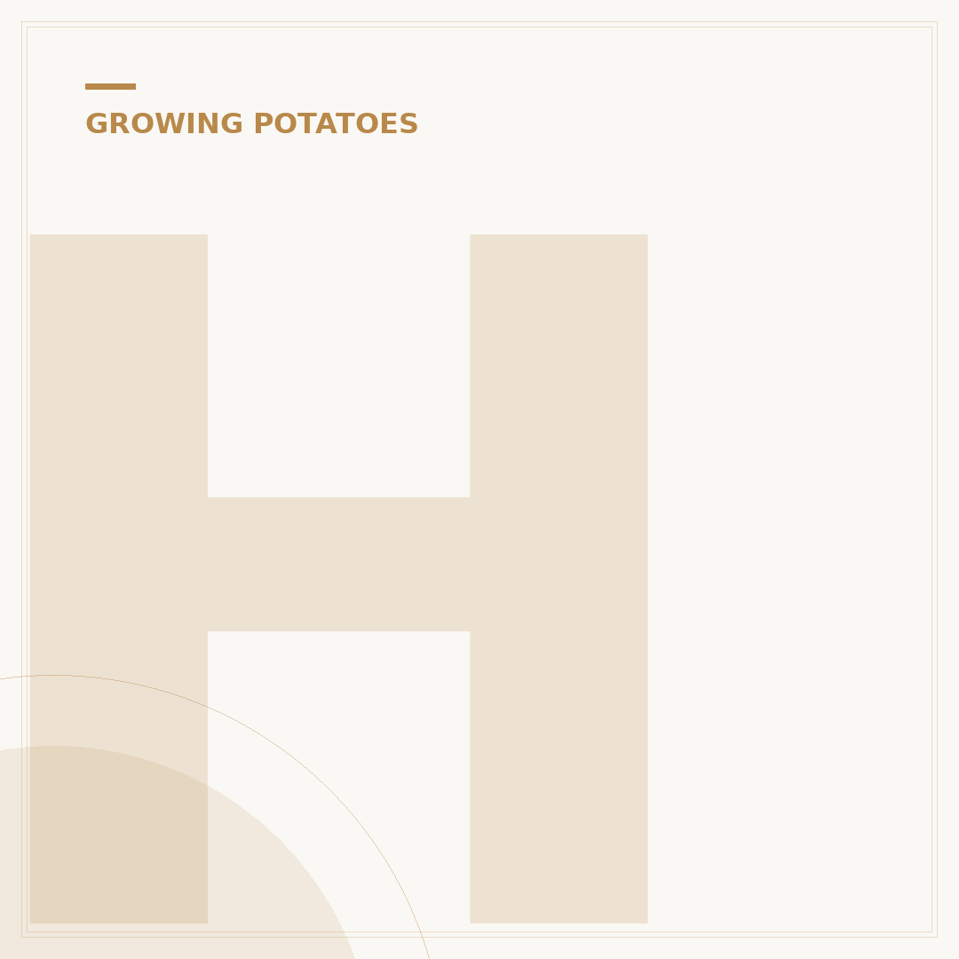 How to Preserve Seed Potatoes for Next Season