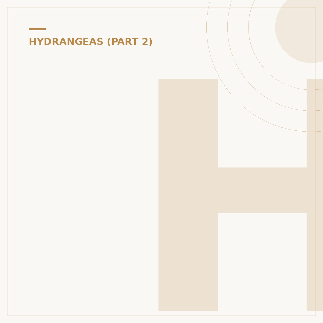 How to Propogate a Hydrangea