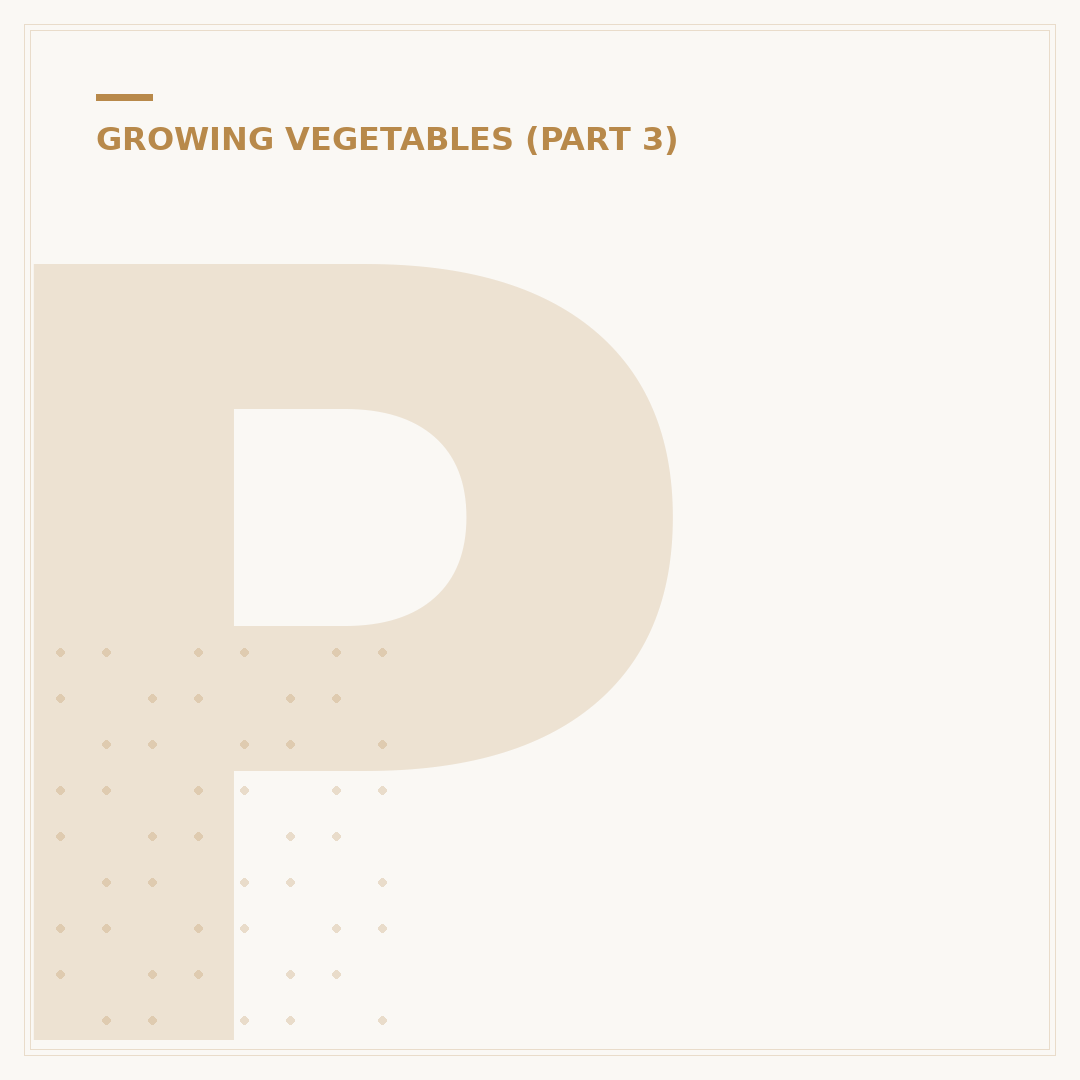 Propagating Elephant Garlic: Methods and Tips
