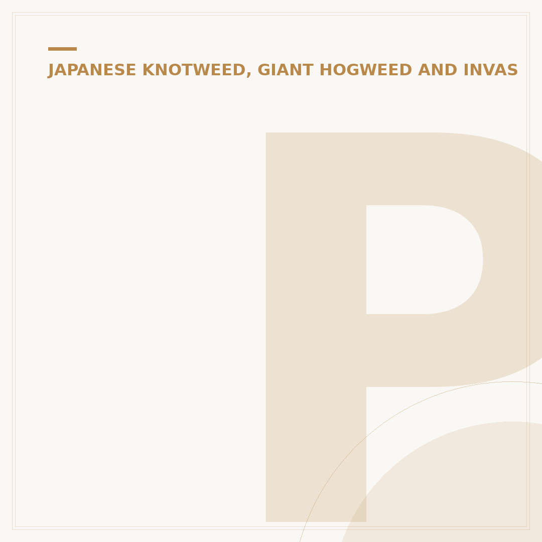 Prostrate Knotweed Identification and Control