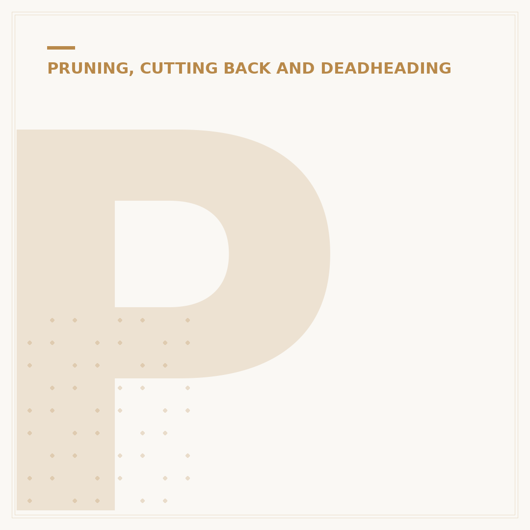 Pruning Salix: Avoid Mistakes, Choose Wisely
