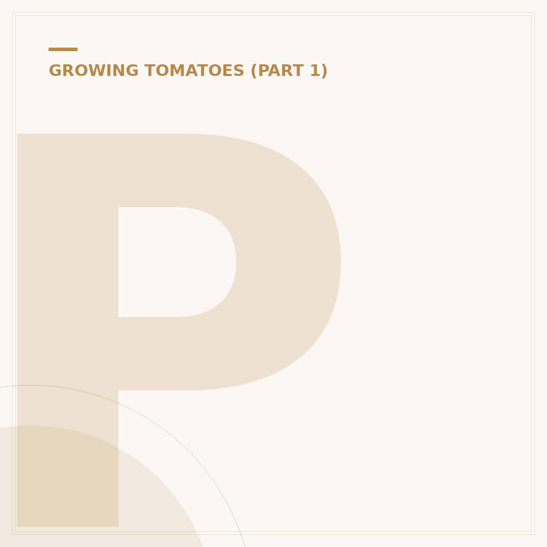 Pruning Tomato Plants: Avoid Common Mistakes