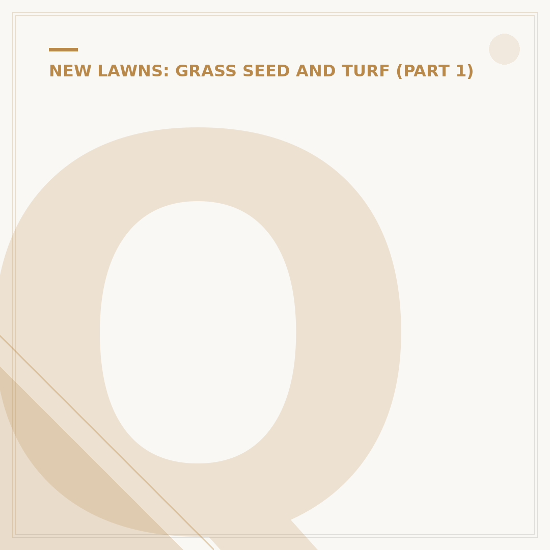 Quickest Growing Grass Seed Options for Rapid Lawns