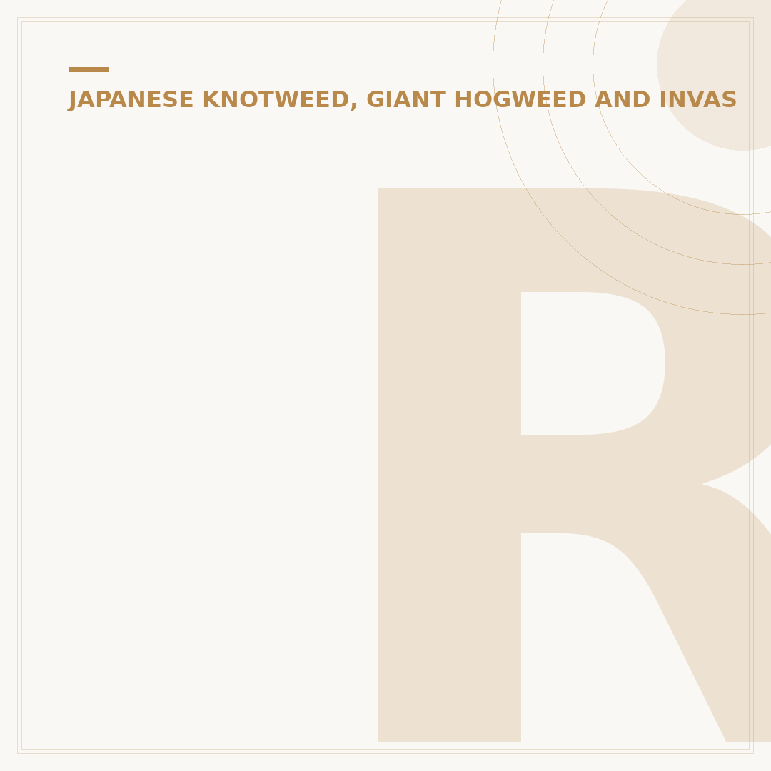 Ragwort Weed: Identification and Control Options