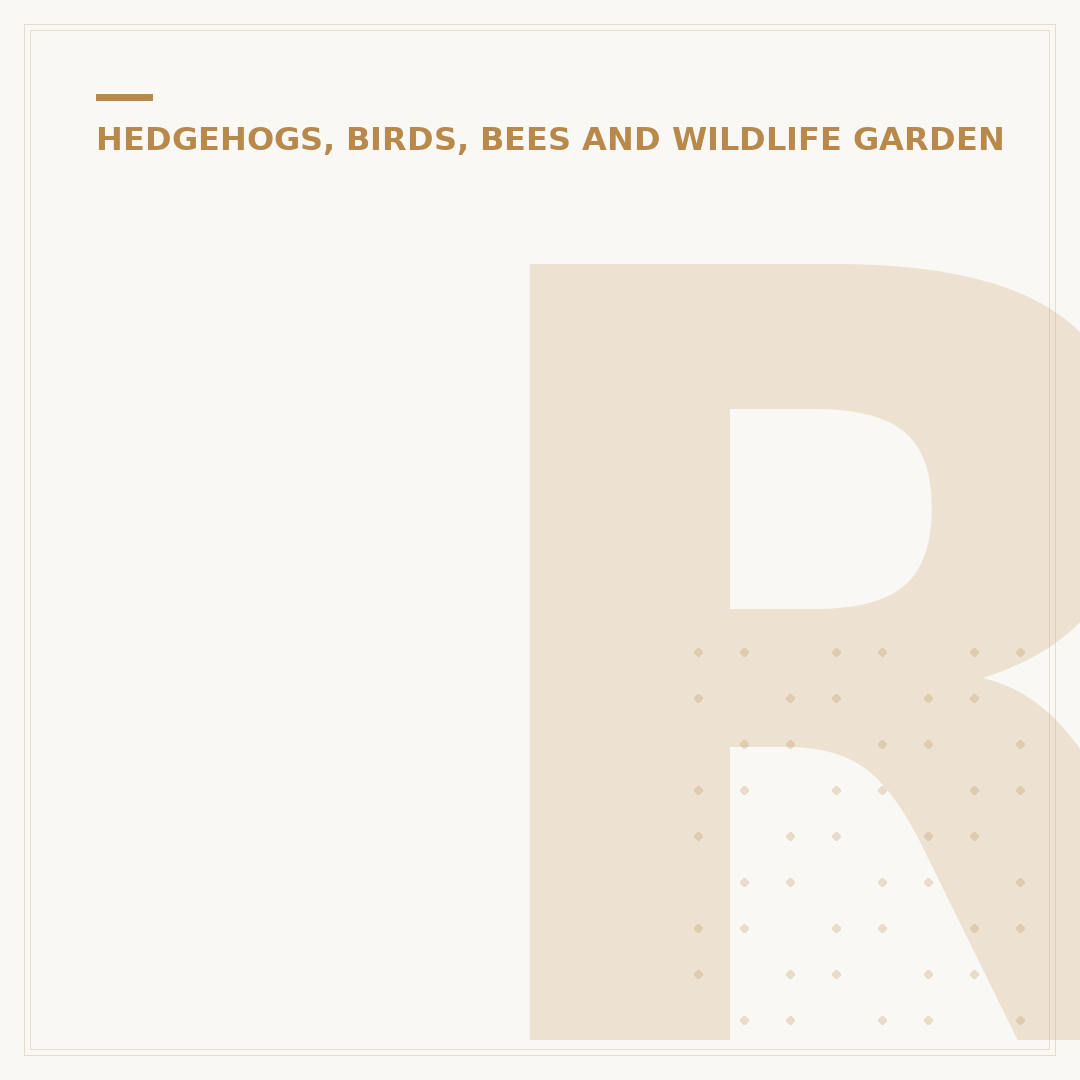 Rare Garden Birds UK: Identification & Attraction