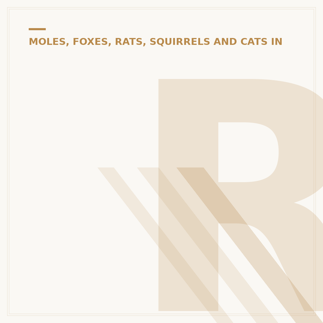 Rats in the Garden