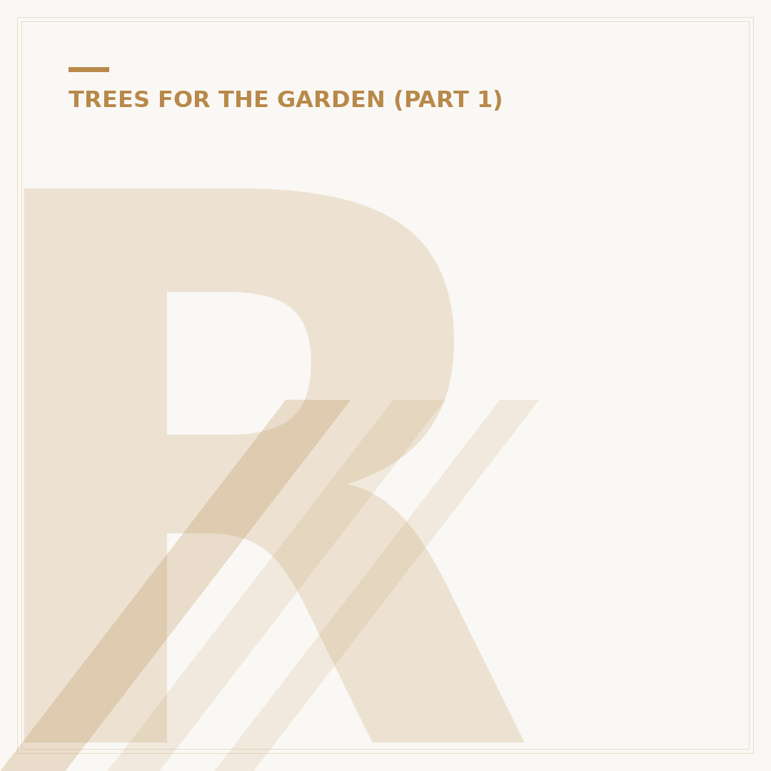 Red Acer Tree Varieties and Care