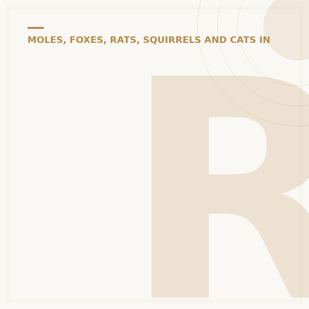 Repellent Plants for Cats: Keep Felines Away Naturally