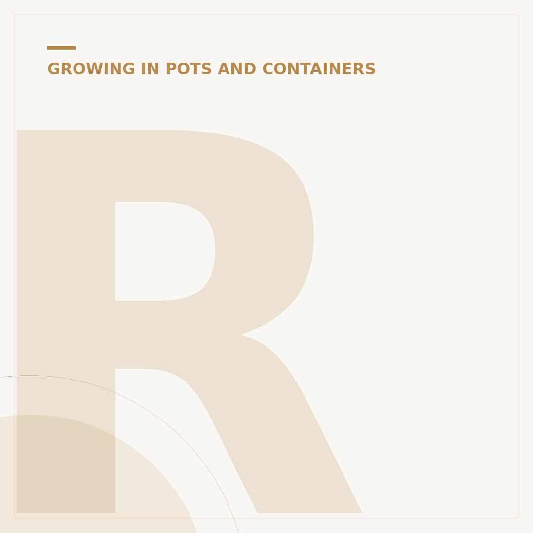 Repot Plants in Hackney Wick