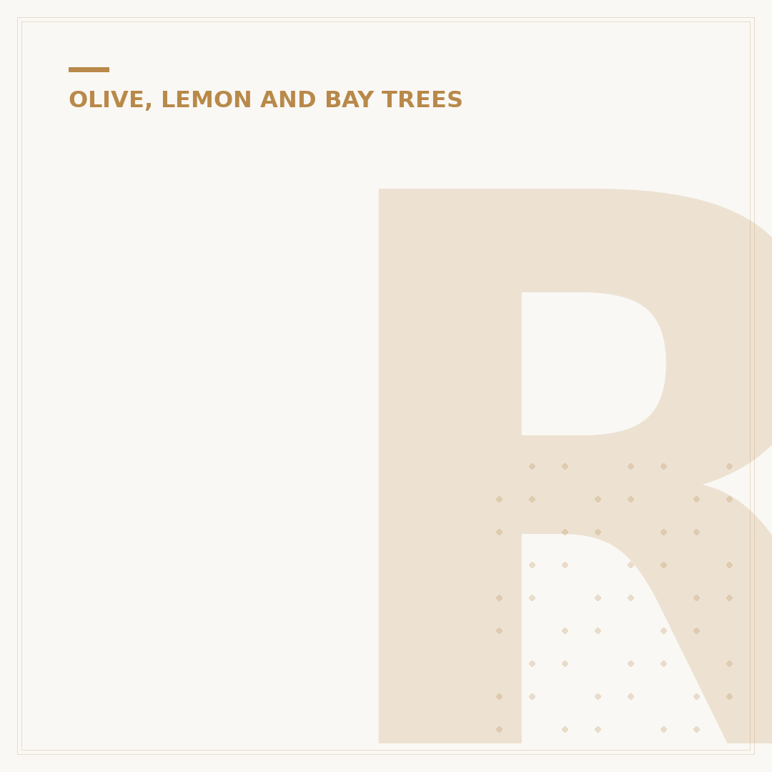 Repotting Bay Tree: When and How to Move It