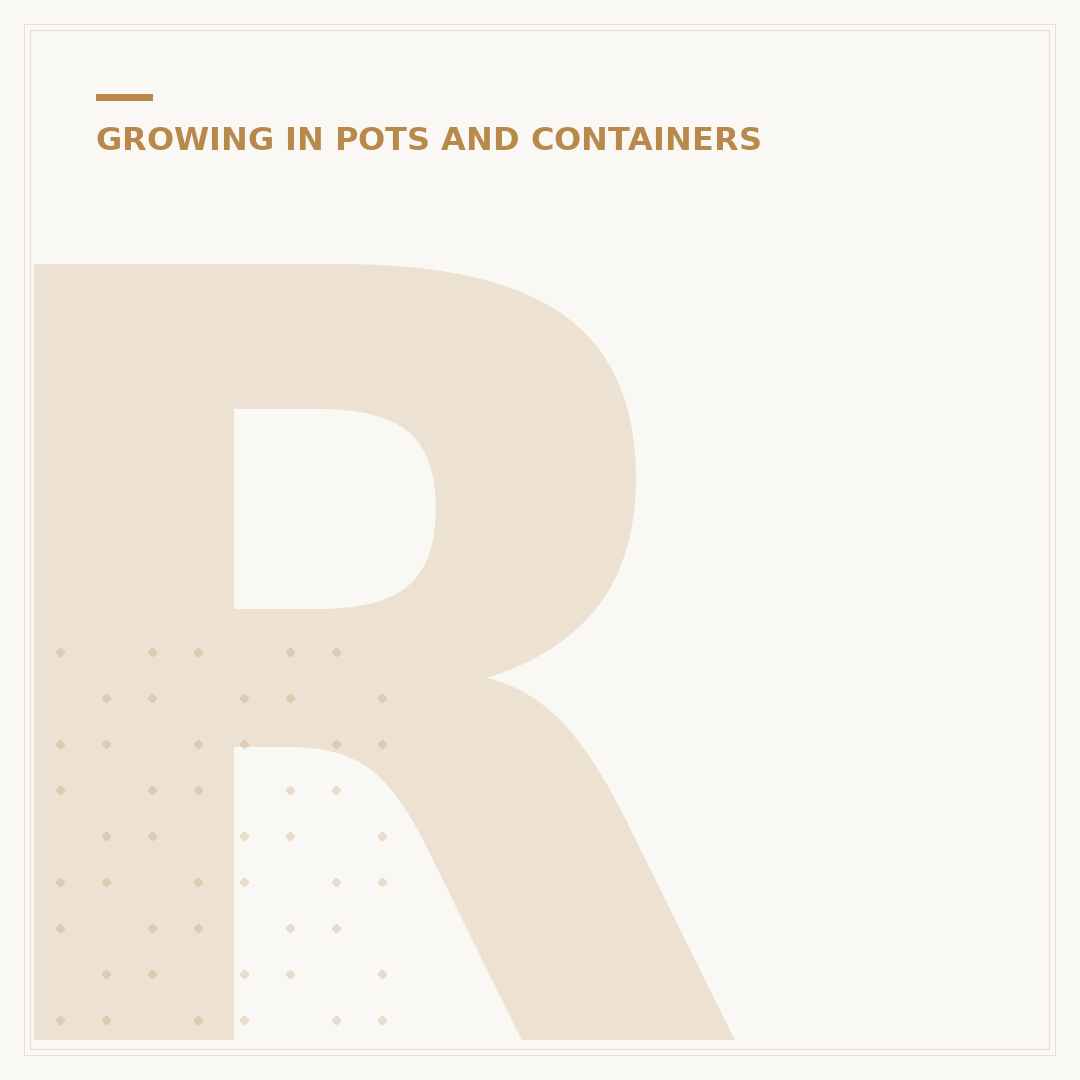 Repotting Money Tree: When and How to Do It
